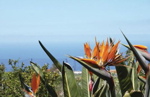 Casa Los Pinos - Foto 14