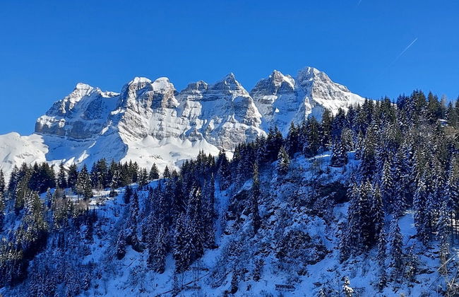 Alpage Immo Location Service - Foto 59