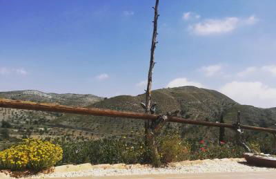 Cortijo Claudia - Foto 53