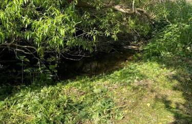 Totally Private, idyllic House with hot tub in an acre of private gardens - Foto 6