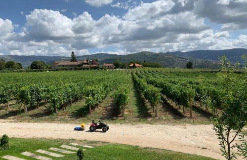 Quinta De Guimaraes - Foto 13