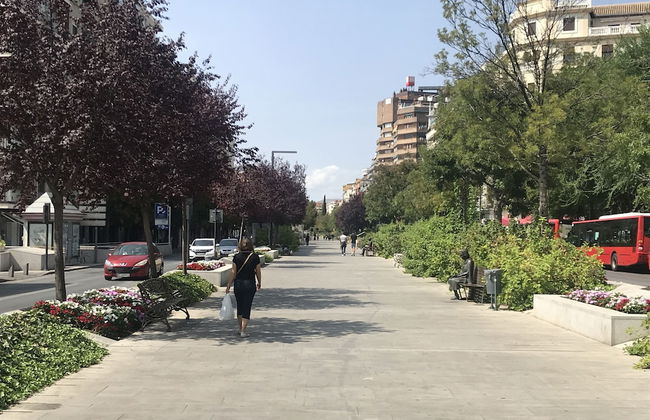 HNN Granada - Foto 26