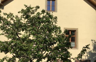 Ferienhaus Mitterauerbach - Altes Mesnerhaus - Foto 15