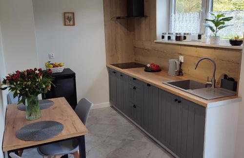 Domek Apartament w Skarpie Łutynowo - Foto 9