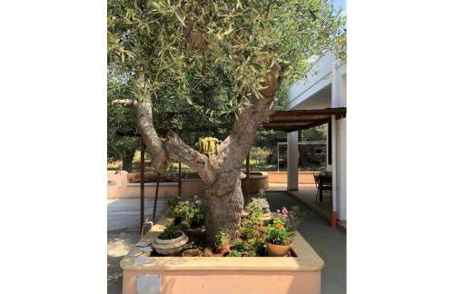 Casa La Manna by A&B Homes Leuca - Foto 15