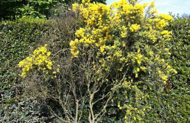 Fattoria di Migliarino - Foto 63