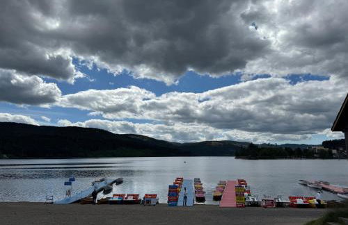 BergOase-Apart am Feldberg - Foto 48