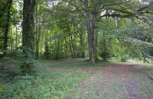 La Villa du Papetier - Foto 14