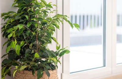 Delightful Penthouse - Photo 9