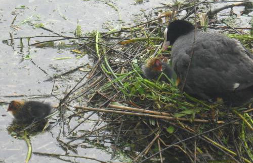 La Casa Sul Lago - Foto 80