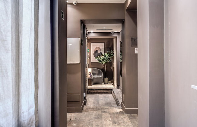 Telier Tomacelli - Foto 5