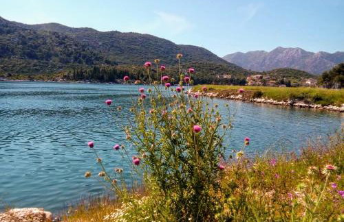 Ljubica Comfortable Apartment - Foto 36