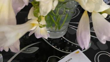 Appartamenti Con Vista Panoramica - Foto 2