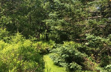 1800OR Unique 'yurt' home in Bretton Woods 1 mi to skiing firepit foosball beach Hot tub - Foto 76