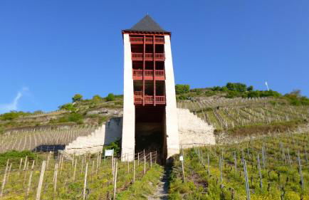 Gästehaus Rheinromantik - Photo 44