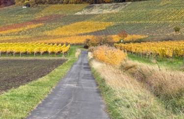 Panorama 180 - Foto 63