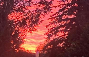 Apartament Blumenblick - Foto 35