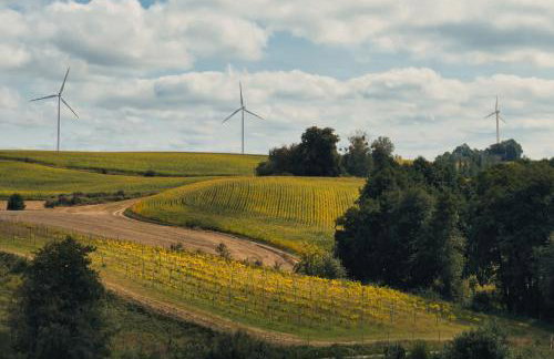 Port Rybaki & Vine Agritourism - Foto 3