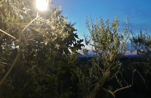 Tenuta Colverano - Foto 8