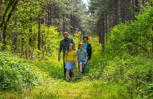 Modern Chalet With air Conditioning - Foto 56