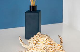 Casa Waimea - Linda casa com praia particular - Foto 30