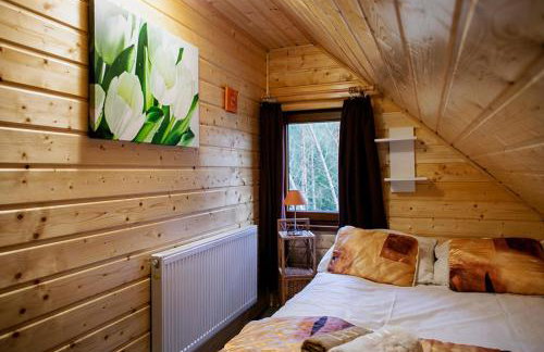 Domek całoroczny SÓWKA na Kaszubach z banią i sauną na wyłączność, wspólny basen i bilard z domkiem Jeleniówka - Ostrowite Leśna Dolina - Foto 72