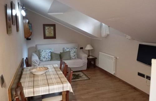 Apartamentos Picos de EUROPA - Foto 9