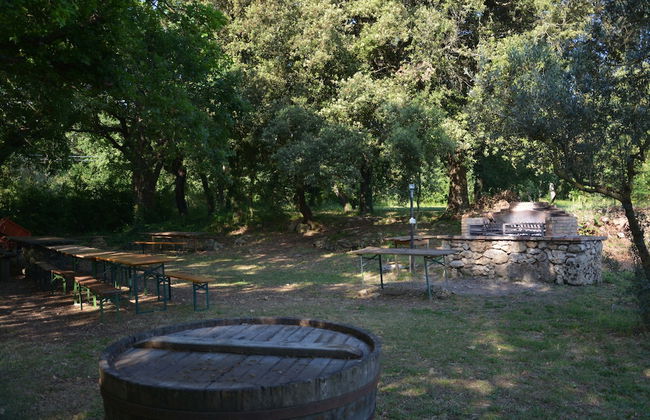 Le Ghiande - Photo 39