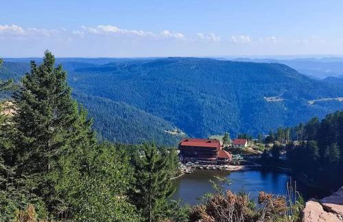 Ferienwohnung Schwarzwaldblick - Photo 40