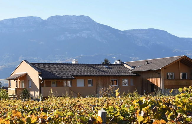 Lagrein in the Prantenbergergut - Foto 12