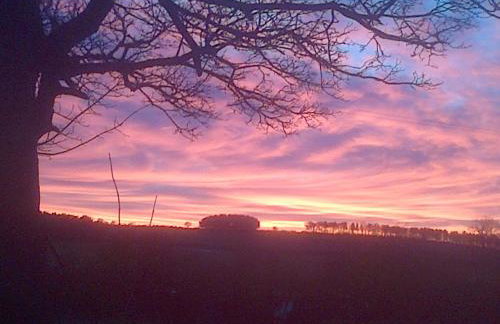 Hamsteels Hall Cottages - Foto 77