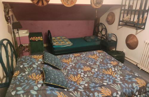 hô choucas - Foto 23