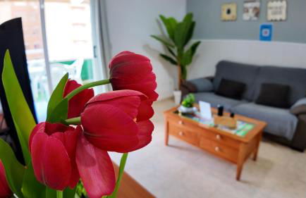 Apartalux Magic Paradise - Photo 16