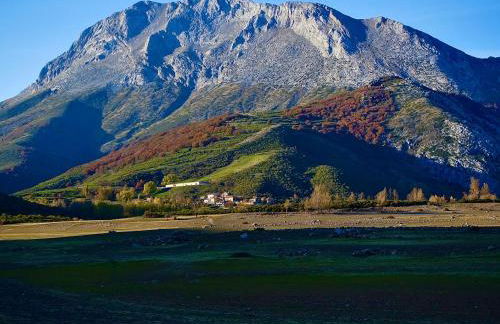 Casas Rurales El Mayorazgo - Foto 46