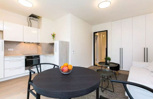 Flawless Apartments Pod Děkankou - Foto 16