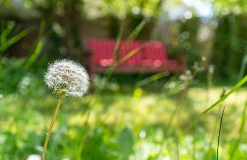 Villa Eck Gartenzeit - Foto 31