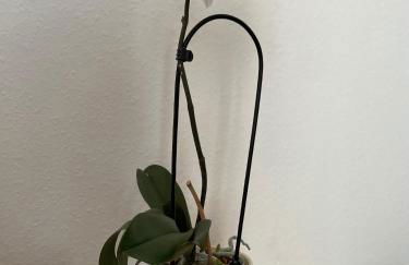 Wohlfühlwohnung in Gummersbach - Foto 7