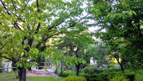 B&B la Concordia - Foto 2