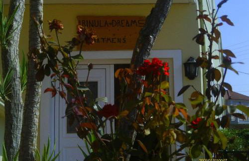 Irinoula Dreams - Foto 137