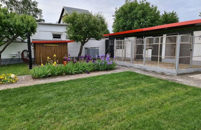 Haus Elfi Modern Retreat - Foto 24