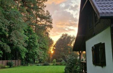 Łap Las Pelnik - Photo 48