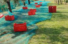 La tenuta di Eva - Foto 40