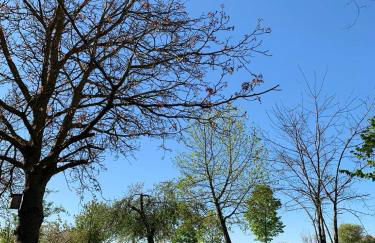 Landhaus Lehhof - Foto 45