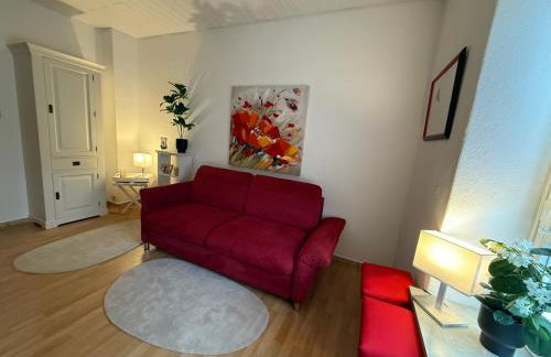 1 Zi Whg an der Universität zu Kiel-Alsenstrasse 17, perfekt als Schadenwohnung, eigener Parkplatz, große Wohnküche, Wlan, gemütlich möbliert, je 3 Min zur Universitätsklinik, Ostsee, Seebäder, City, Luxusfähren - Foto 1