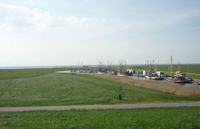 North Sea Holiday House Wellmeyer - Photo 7