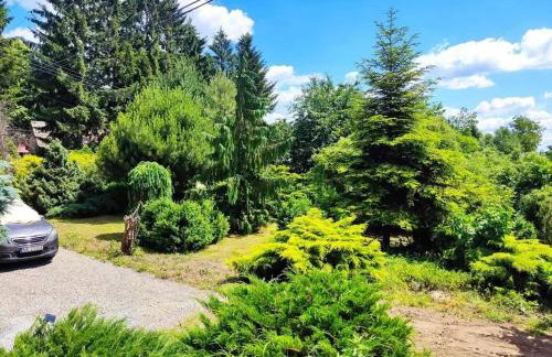 Zielony Domek z dużym tajemniczym ogrodem i rekreacyjną stodołą - Foto 7