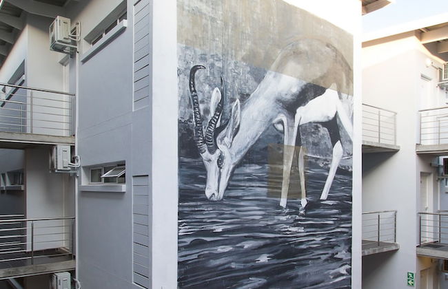 WINK Quiver Tree - Foto 55