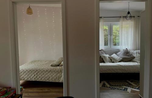 Cisza lasu - Foto 13