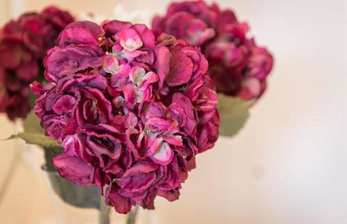 Apartamento Lu Ambassador - Foto 7