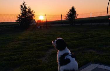 Dom Choczewo Zielony Zakątek - Foto 35